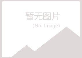 偃师冰烟机械有限公司